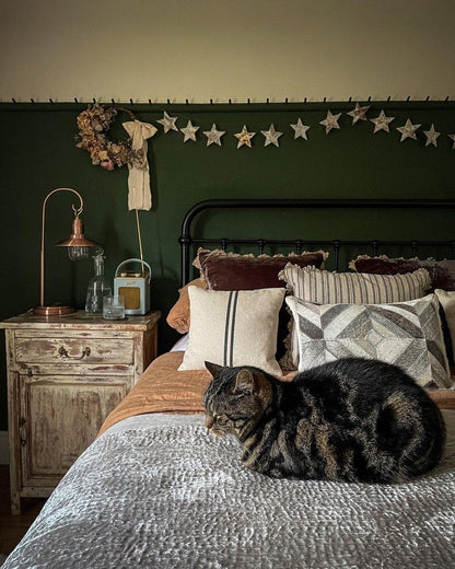 Cat lying on a bed with decorative pillows against a green wall with star decorations.