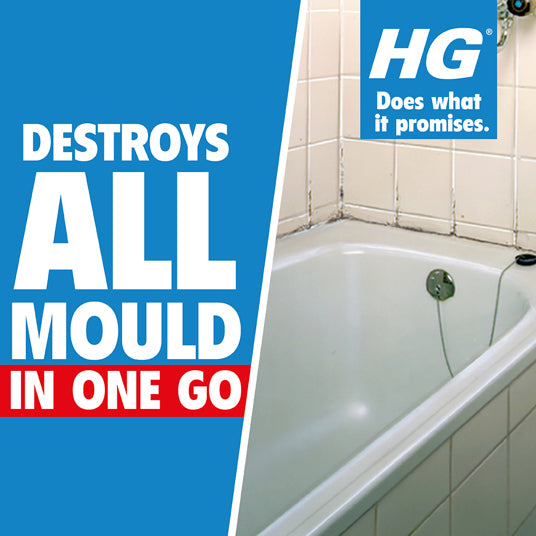 Bathroom with moldy bathtub corner and HG mold killer product, featuring text about mold destruction.