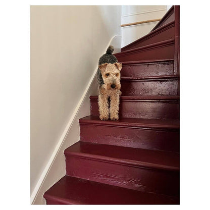 No. 297 Preference Red