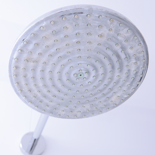 Round shower head with multiple nozzles on a white background