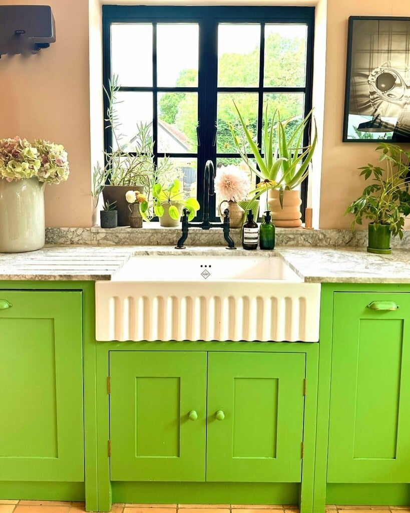 Kitchen with green cabinets, white sink, and various plants.