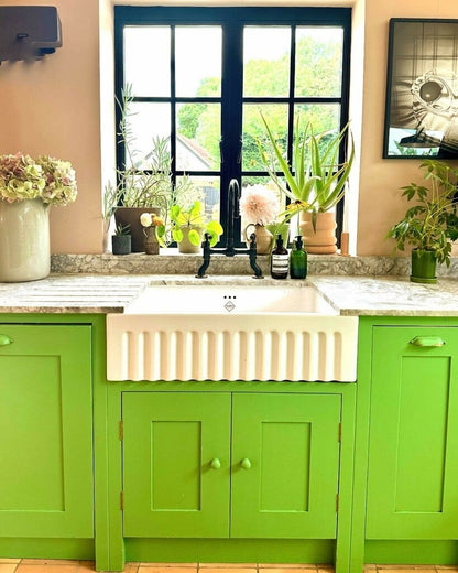 Kitchen with green cabinets, white sink, and various plants.