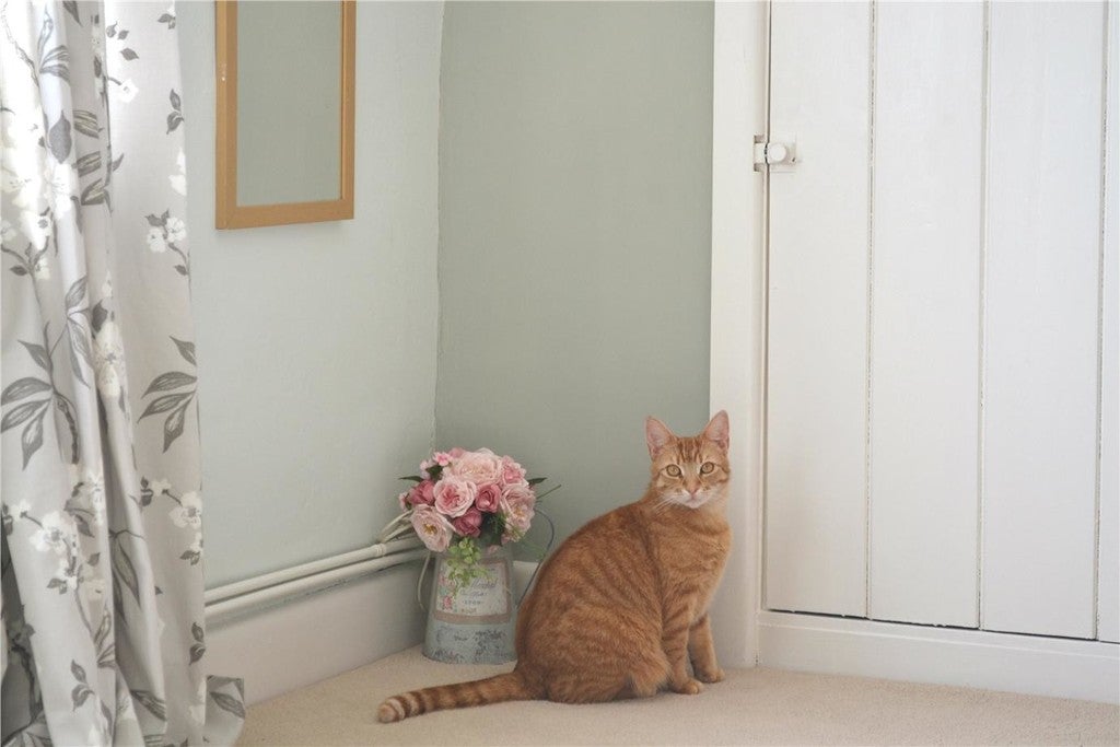 Orange cat sitting on a windowsill with a vase of pink flowers and a framed picture in a room.