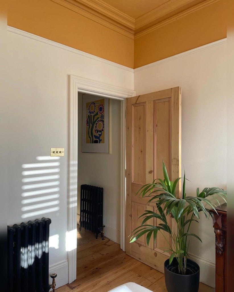 Room interior with wooden door, radiator, and plant