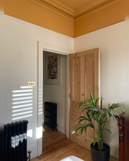 Room interior with wooden door, radiator, and plant