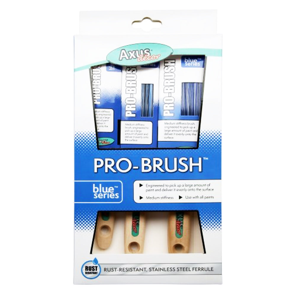 AXUS BLUE PRO-BRUSH SET 4PC