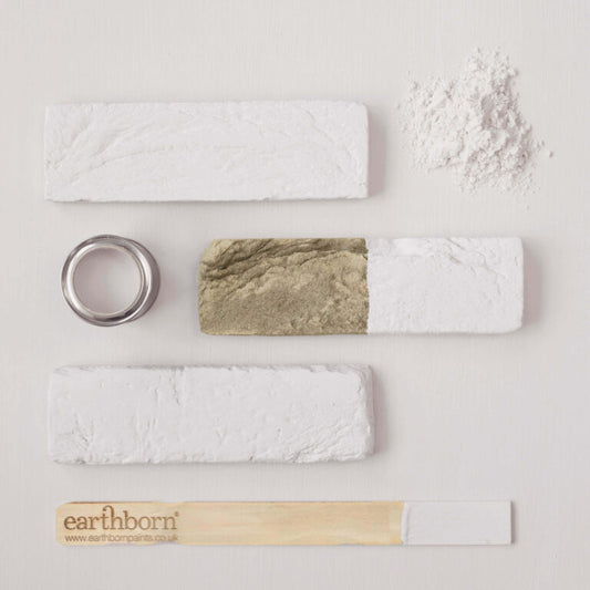 Earthborn bath products including a bar of soap, loofah, and bath bomb on a light background.