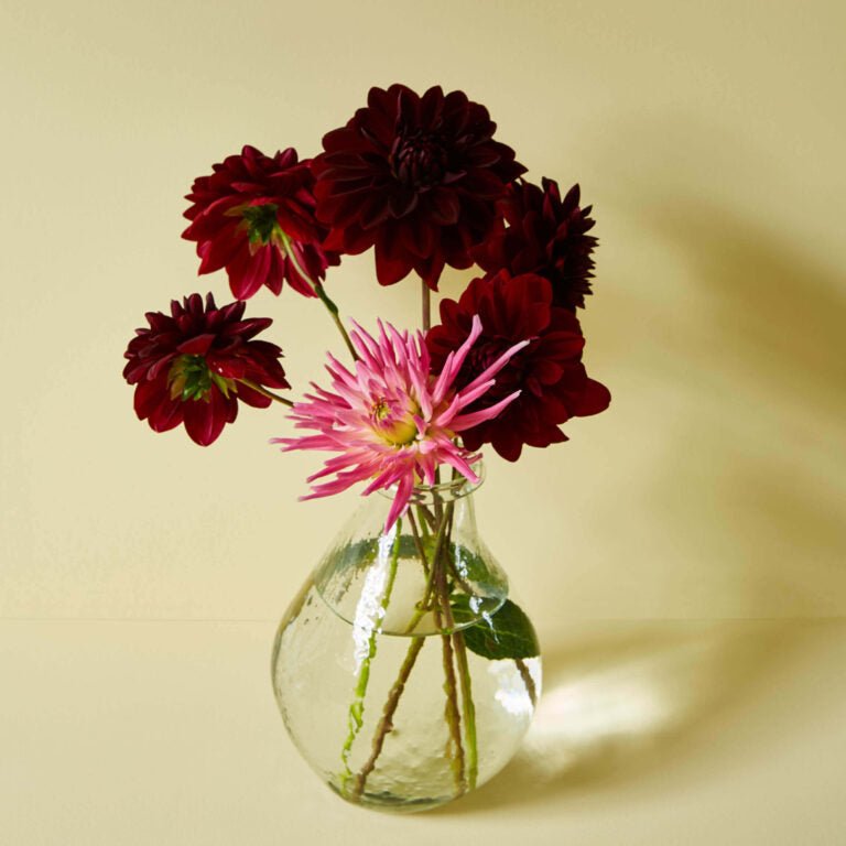 Clear glass vase with pink and maroon flowers on a beige background