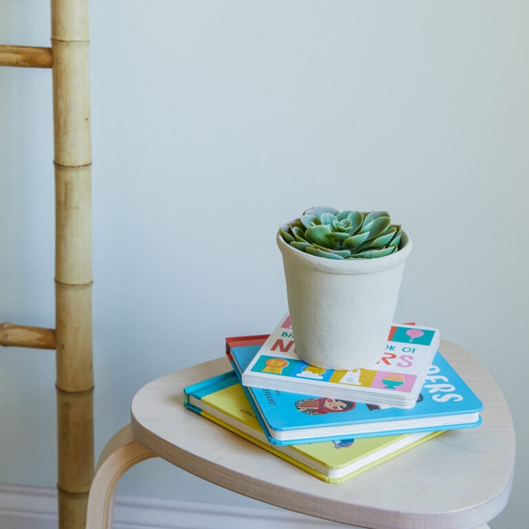 Small round table with a potted succulent and children's books against a light background