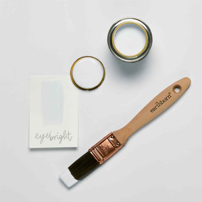 Paint brush with 'earthborn' branding next to a jar of paint and a color swatch on a light gray background