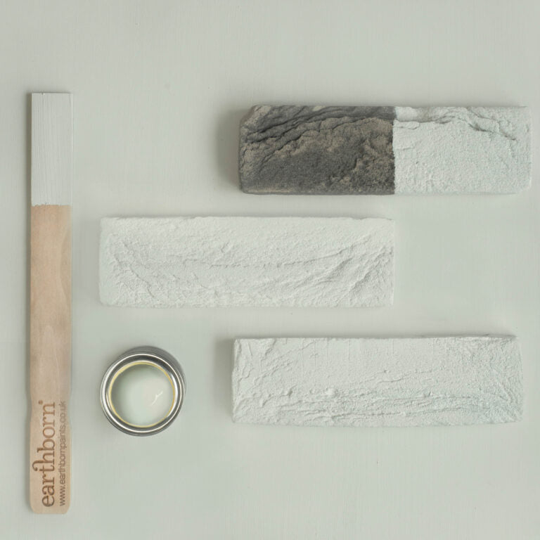 Paint samples and a paint roller on a light gray background with 'earthborn' branding.