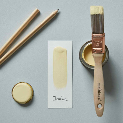 Earthborn paintbrush with a jar of paint, lid, and color swatch on a gray background