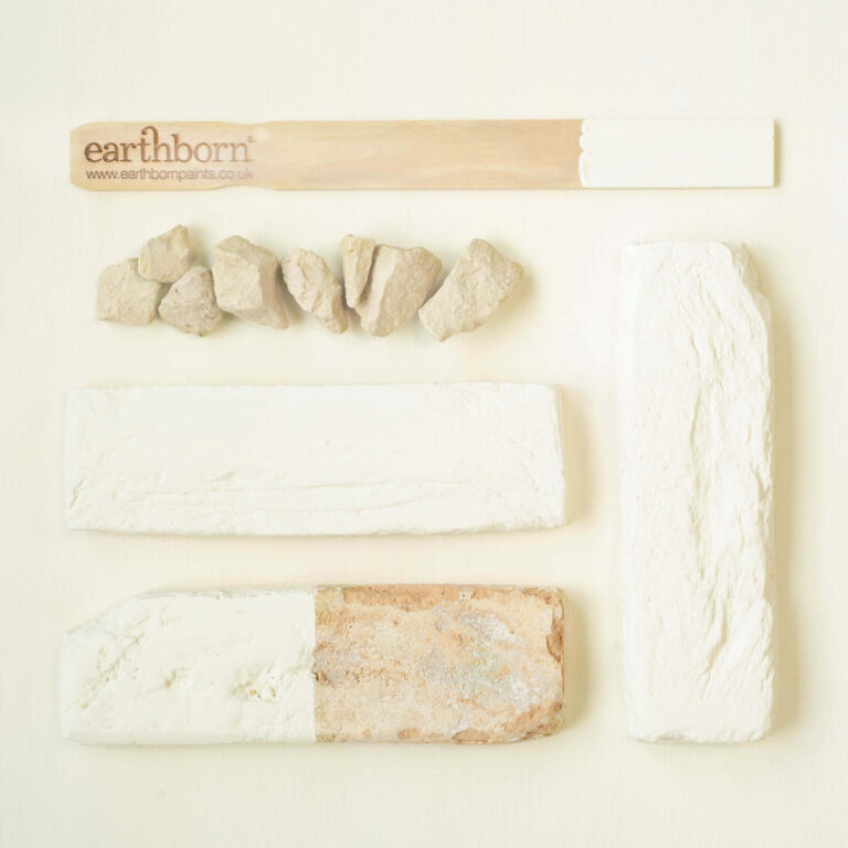 Earthborn pet products including bones and a rope on a white background