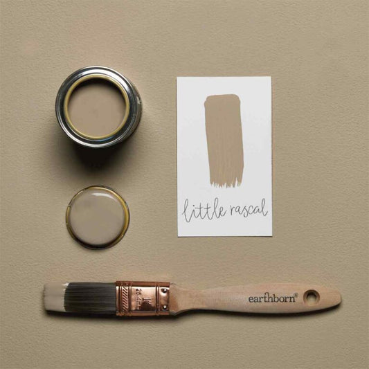 Earthborn paint with a brush and color swatch on a beige background