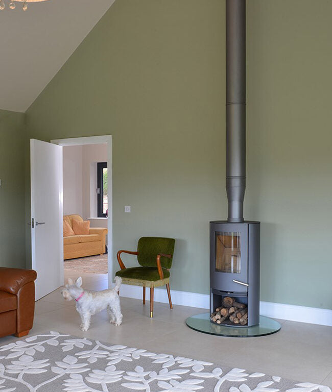Living room with a modern stove and green wall