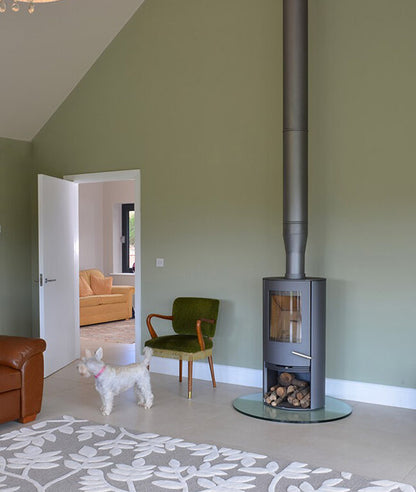 Living room with a modern stove and green wall