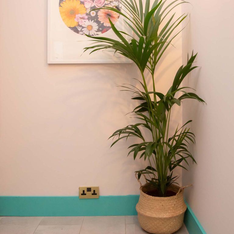 Potted plant against a wall with a floral painting and light switch.