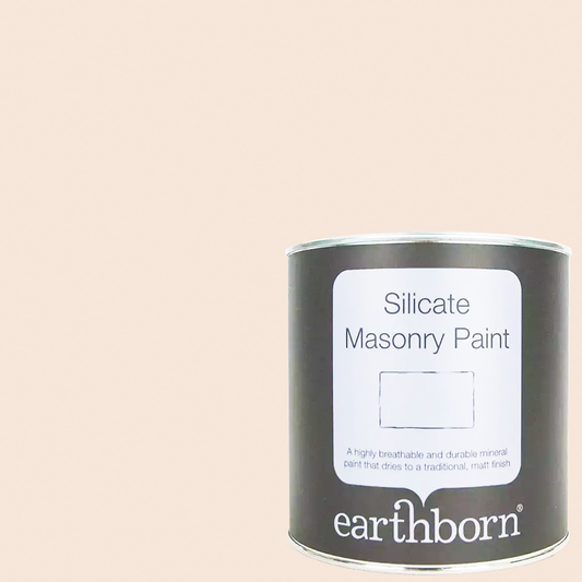 SILICATE MASONRY PAINT BATH 100ML