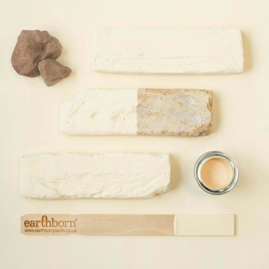 Earthborn paint samples and tools on a beige background