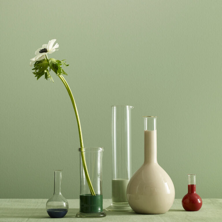 Set of various vases with a single white flower on a green background