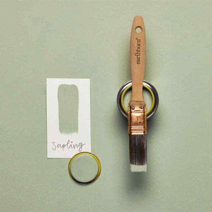 Paintbrush with 'earthborn' branding and a color swatch labeled 'sapling' on a green background