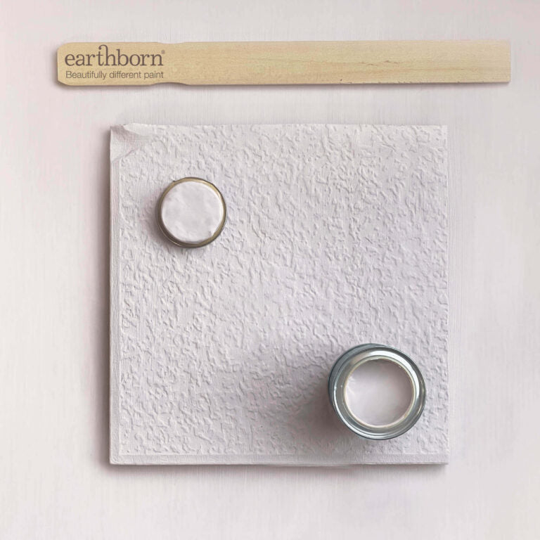 Two rings on a textured white surface with 'earthborn' branding above.