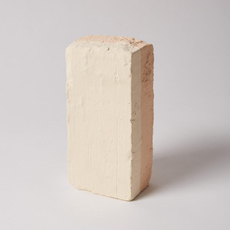 Rectangular block of tofu on a light gray background