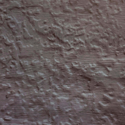Close-up of a textured brown surface