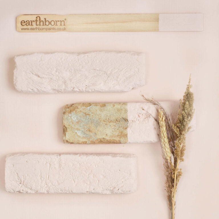 Three bars of soap with a plant on a light background, featuring the brand 'earthborn'.