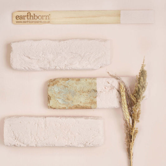 Three bars of soap with a plant on a light background, featuring the brand 'earthborn'.