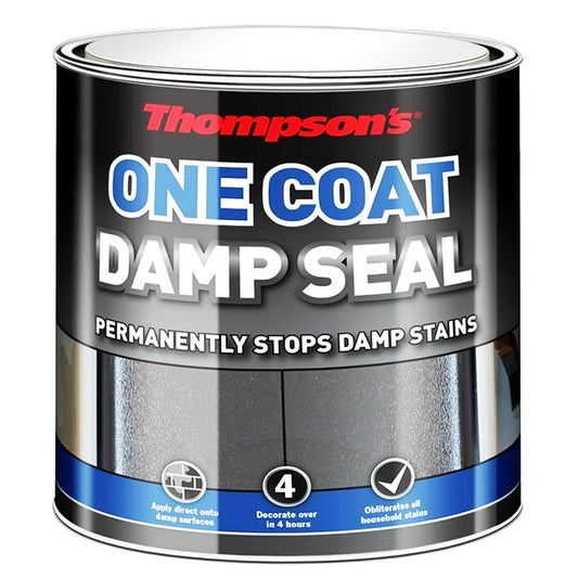 THOMPSONS DAMP SEAL 250ML