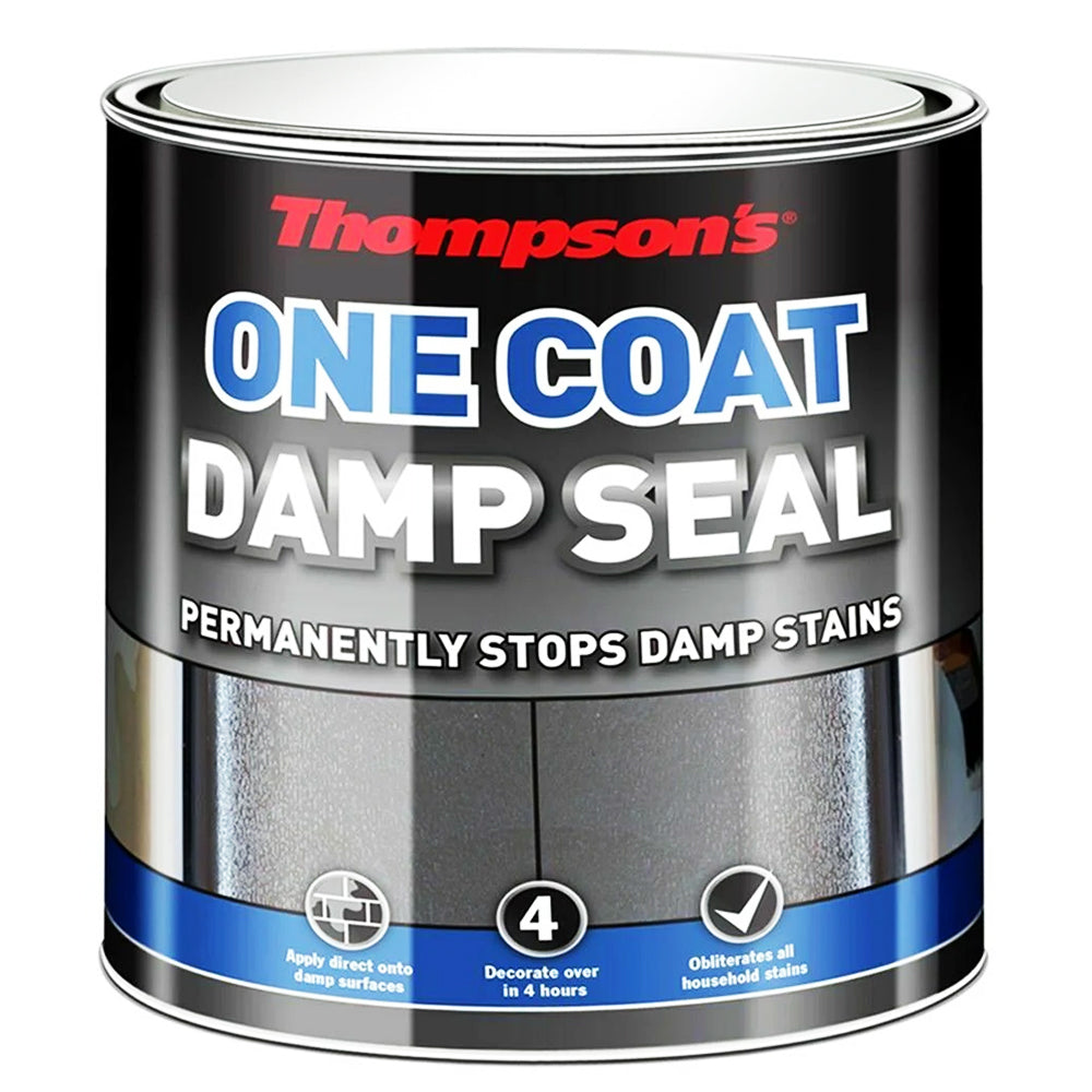 THOMPSONS DAMP SEAL 250ML