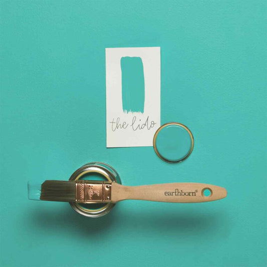Paintbrush with 'earthborn' branding, ring, and color swatch on a teal background