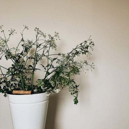 White pot with greenery against a plain background