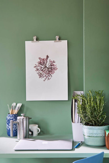 No. 81 Breakfast Room Green