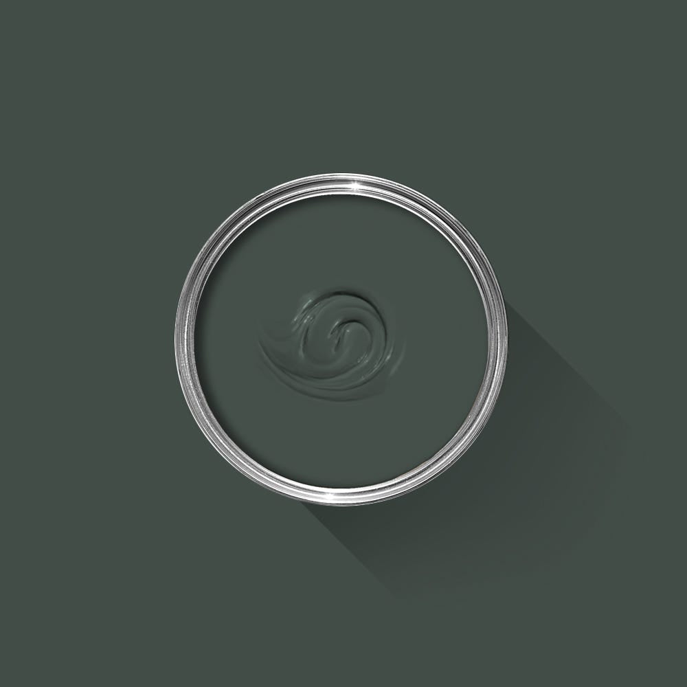 Dark green paint swatch with a silver rim on a dark gray background