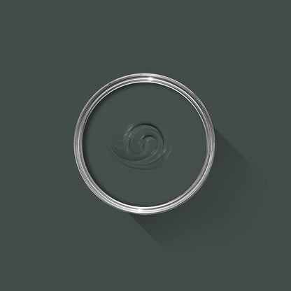 Dark green paint swatch with a silver rim on a dark gray background