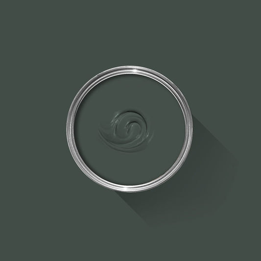 Dark green paint swatch with a silver rim on a dark gray background