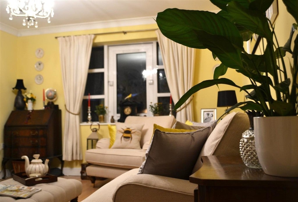 No. 233 Dayroom Yellow