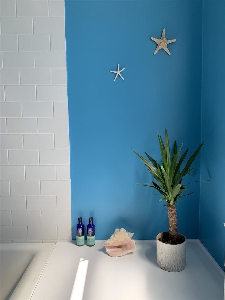 Bathroom with blue wall, white tiled wall, plant, and decorative items.