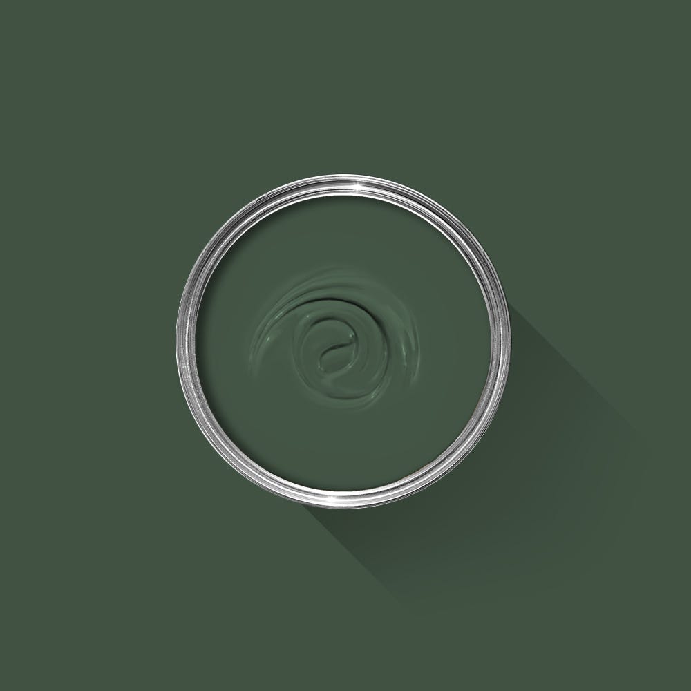 Green paint swatch with a silver rim on a green background