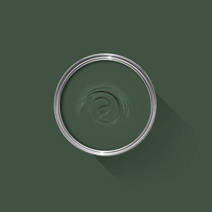 Green paint swatch with a silver rim on a green background