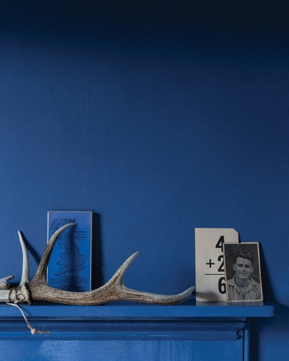 Decorative shelf with antlers, books, and a photo against a blue wall