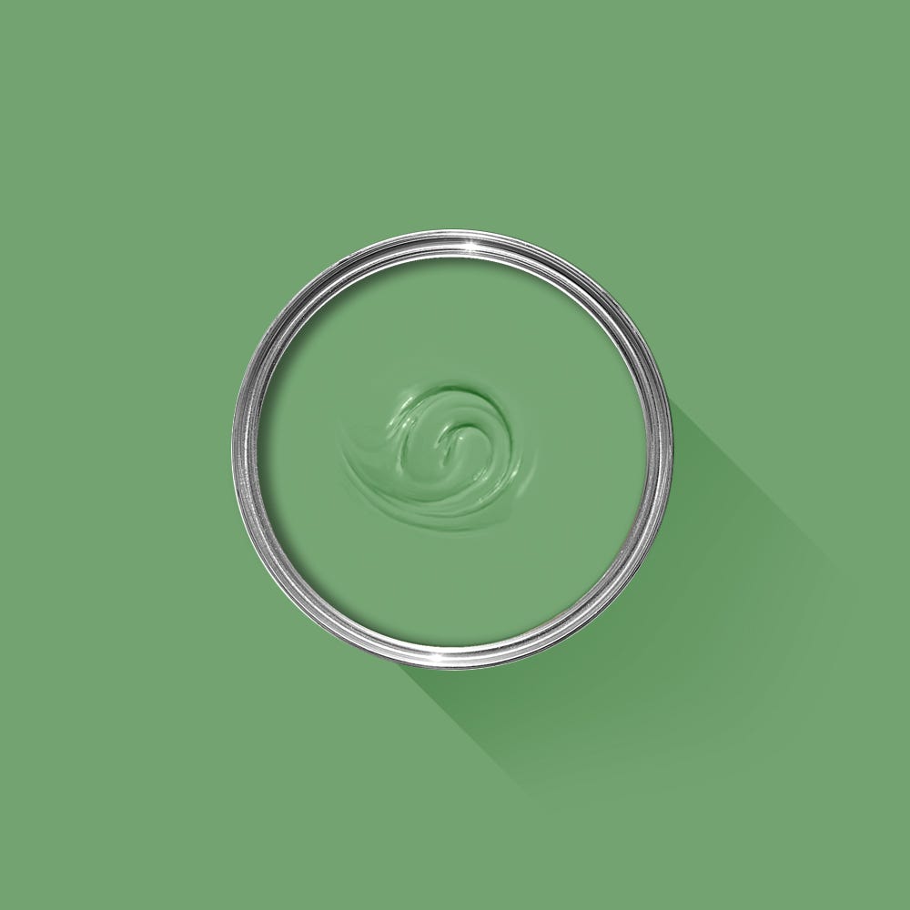 Green paint swatch with a silver ring on a green background