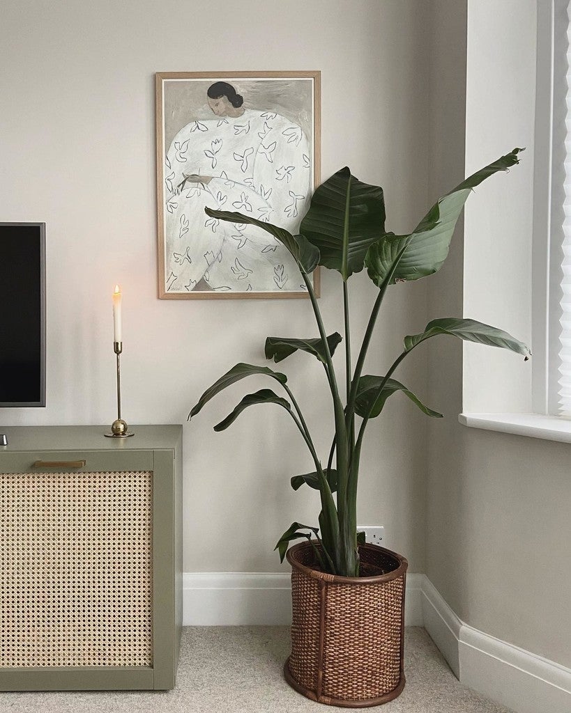 No. 241 Skimming Stone