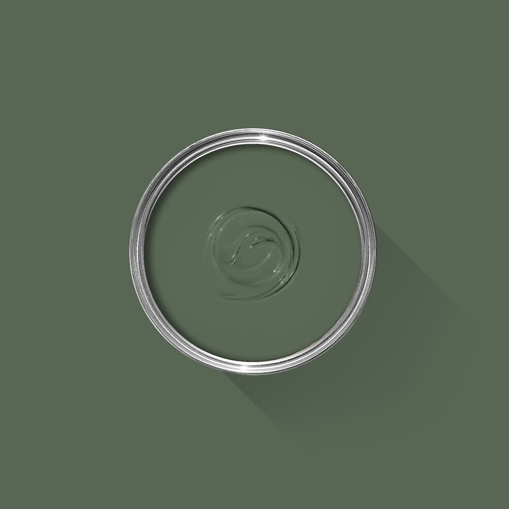 Green paint swatch with a silver rim on a green background