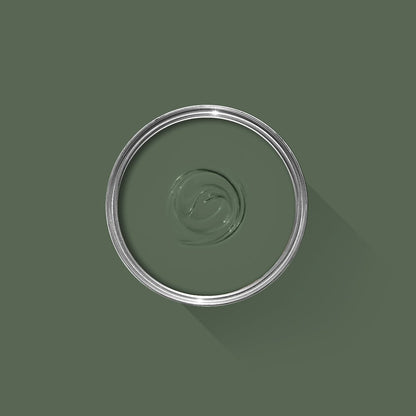 Green paint swatch with a silver rim on a green background
