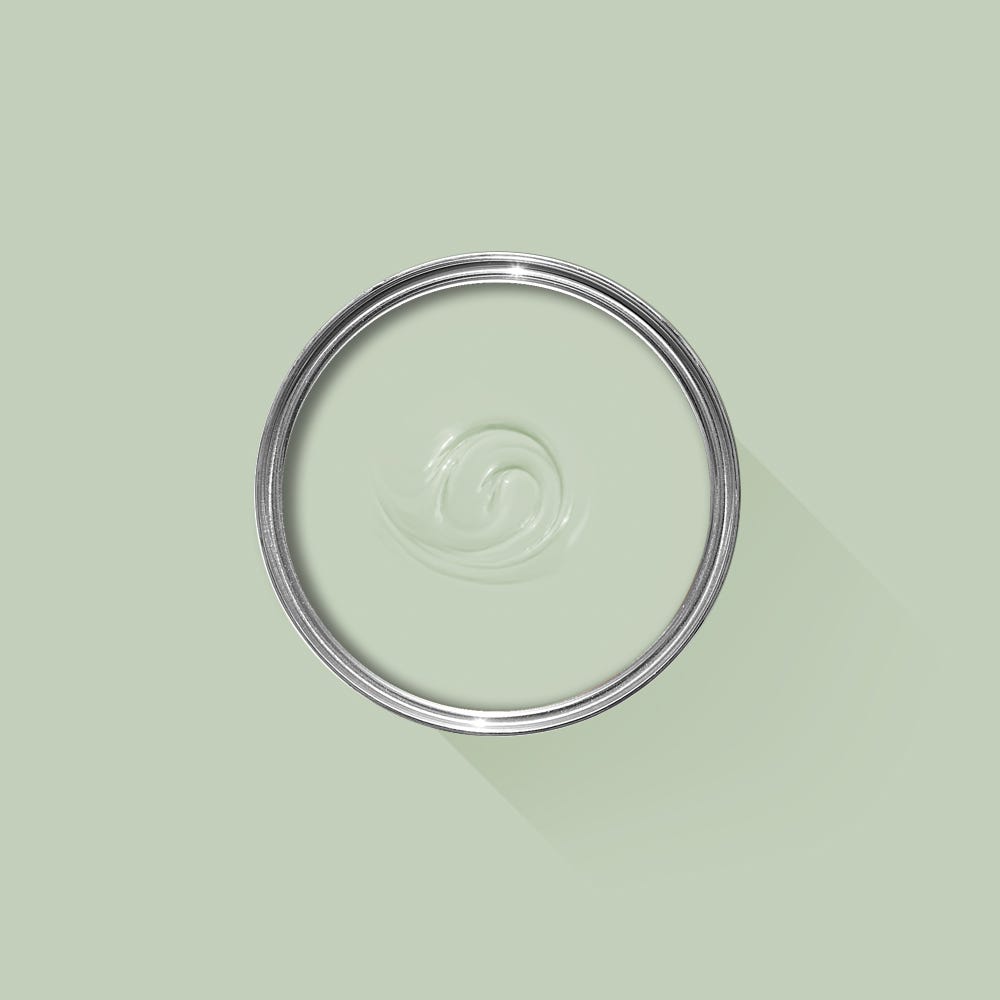Clear glass lid on a light green background
