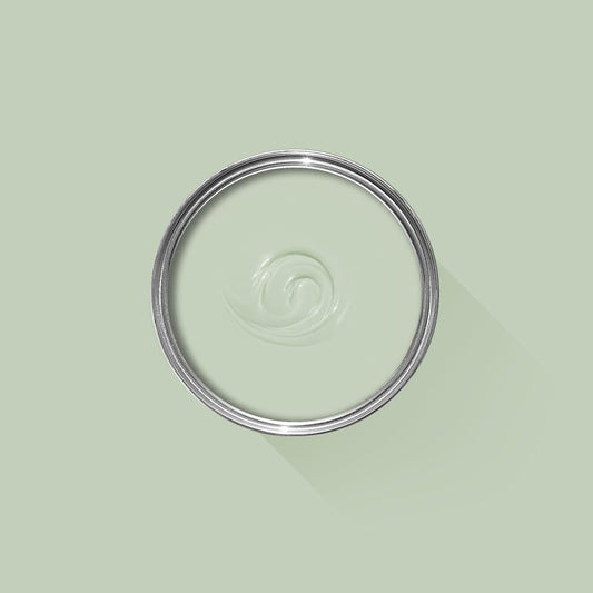 Clear glass lid on a light green background