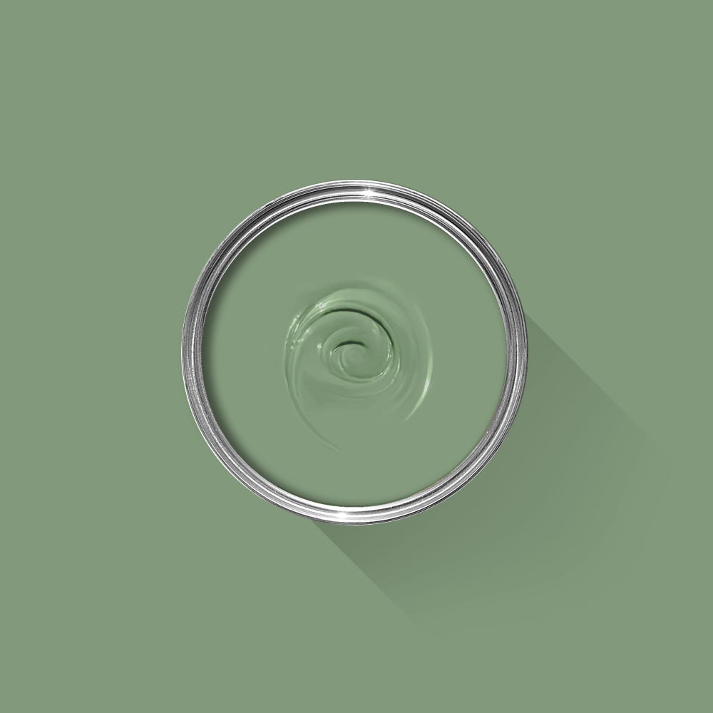 Green paint swatch with a silver ring on a green background